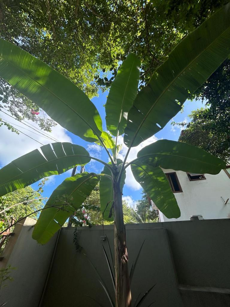 Espaco Ekos Pipa Praia de Pipa Exterior foto